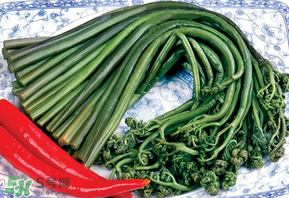 蕨菜有毒嗎？吃蕨菜會中毒嗎？