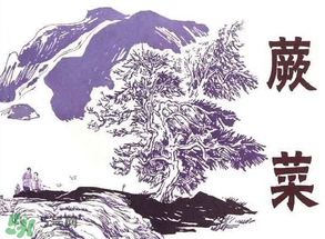 吃蕨菜會過敏嗎？皮膚過敏能吃蕨菜嗎？