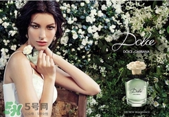 dolce gabanna香水哪款好聞？DG杜嘉班納香水推薦