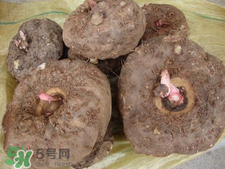 魔芋什么味道？怎么去除魔芋味道？