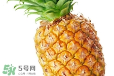 過敏性鼻炎可以吃菠蘿嗎？過敏性鼻炎能不能吃菠蘿？