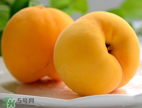 黃桃為什么那么貴？黃桃為什么這么貴？
