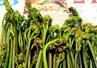 蕨菜有毒嗎？吃蕨菜會中毒嗎？