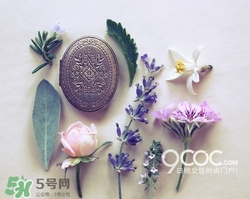 2017固體香膏哪個(gè)牌子好？2017固定香膏排行榜
