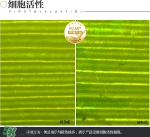 cpb保濕露多少錢？cpb保濕露專柜價格