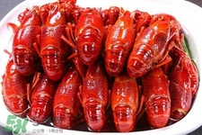 吃小龍蝦可以喝紅酒嗎？紅酒和龍蝦能一起吃嗎？