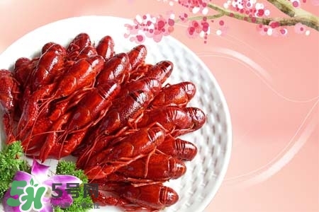 吃小龍蝦喝什么飲料？小龍蝦配什么飲料最好？
