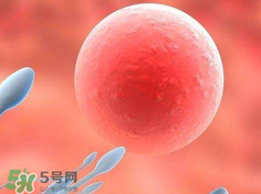 捐20顆卵子會(huì)怎么樣？捐20顆卵子有什么后果？