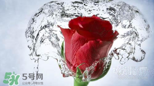 黃瓜水和玫瑰水哪個(gè)好？黃瓜水和玫瑰水區(qū)別
