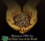 twg茶哪個(gè)最經(jīng)典？twg茶葉哪個(gè)好喝？