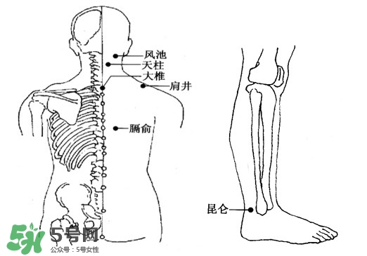 刮痧能治頸椎病嗎？頸椎病刮痧正確圖片