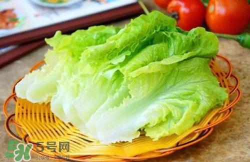 生菜可以放冰箱嗎？生菜可以放冰箱多久？