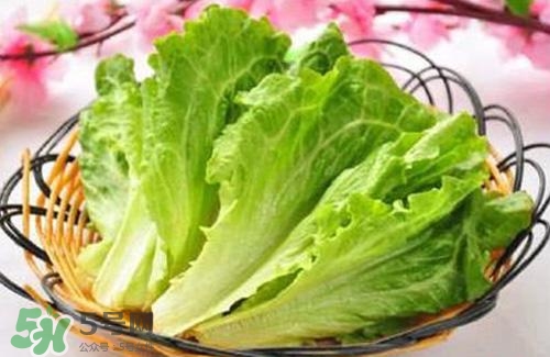 生菜可以放冰箱嗎？生菜可以放冰箱多久？