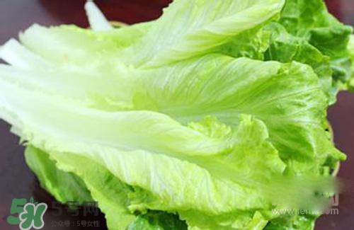 生菜可以放冰箱嗎？生菜可以放冰箱多久？