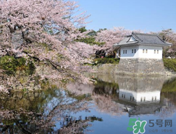 5月份去日本穿什么？五月份去日本穿什么衣服？