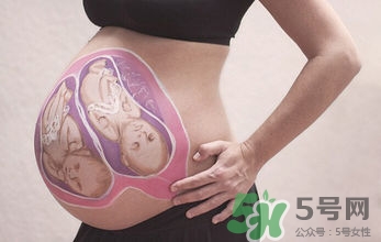妊娠線看可以看胎兒性別嗎？妊娠線看可以男女嗎？