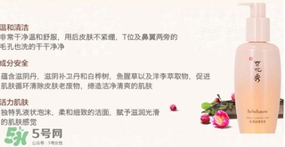 雪花秀順行洗面奶適合什么皮膚？雪花秀順行洗面奶適合膚質？