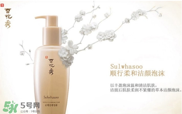 雪花秀順行洗面奶適合什么皮膚？雪花秀順行洗面奶適合膚質？