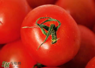 五月份吃什么蔬菜？5月份吃什么蔬菜？