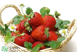 五月份還有草莓嗎？5月份還有草莓嗎？