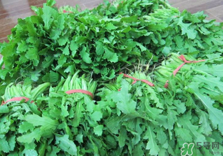 罌粟苗能當(dāng)菜吃嗎？罌粟苗可以當(dāng)菜吃嗎？