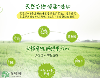 禧貝米粉二段味道怎么樣？禧貝米粉二段味道如何？