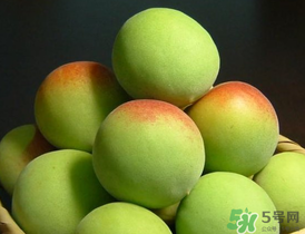 青梅什么時候成熟？青梅幾月份成熟？