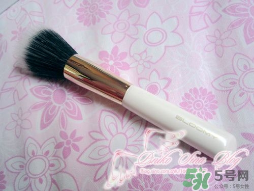 bloomy老爺家化妝刷哪款好？bloomy化妝刷推薦