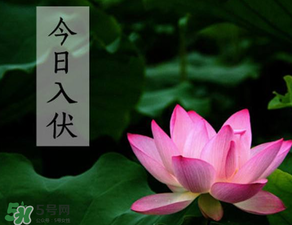 2017年頭伏是哪一天？2017年什么時(shí)候入伏？