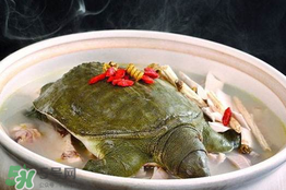 懷孕初期能吃甲魚嗎？懷孕初期可以吃甲魚嗎？