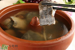 懷孕初期能吃甲魚嗎？懷孕初期可以吃甲魚嗎？