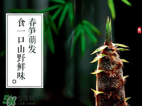 春筍多少錢(qián)一斤？春筍多少錢(qián)一斤2017？