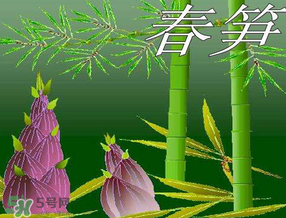 春筍多少錢(qián)一斤？春筍多少錢(qián)一斤2017？
