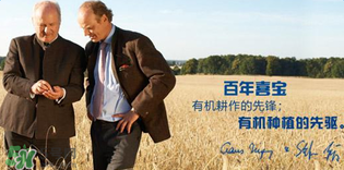 喜寶米粉怎么樣？喜寶米粉如何？