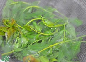 香椿為什么要焯水？香椿怎么焯水？