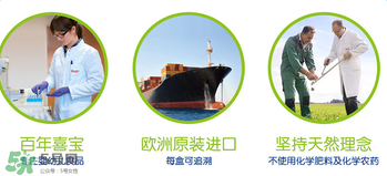 hipp喜寶米粉種類 喜寶米粉有多少種類？