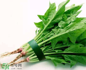 孕婦可以吃菠菜嗎？孕婦菠菜吃多了會怎樣？