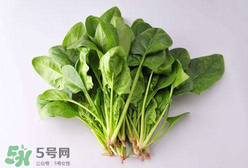 孕婦可以吃菠菜嗎？孕婦菠菜吃多了會怎樣？