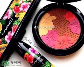 mac2017夏季fruity juicy系列有哪些？