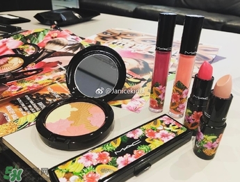 mac2017夏季fruity juicy系列有哪些？