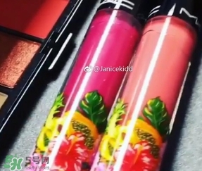 mac2017夏季fruity juicy系列有哪些？