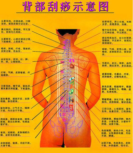 背部怎么刮痧視頻？背部刮痧手法視頻