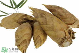 竹筍什么時候長出來？竹筍幾月份長出來？