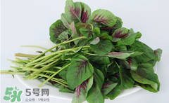 孕婦能吃莧菜嗎？孕婦可以吃莧菜嗎？