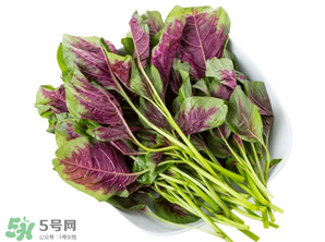 孕婦能吃莧菜嗎？孕婦可以吃莧菜嗎？