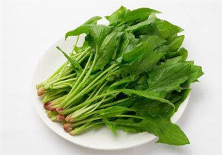 孕婦可以吃菠菜嗎？孕婦菠菜吃多了會怎樣？