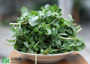 馬齒莧能治白發(fā)嗎？馬齒莧可以治白發(fā)嗎？