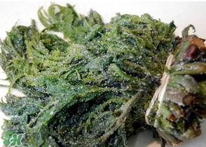 香椿腌制多久可以吃？香椿腌多長時間能吃？