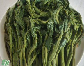 香椿腌制多久可以吃？香椿腌多長時間能吃？