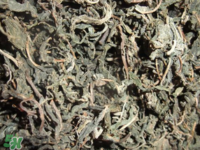 香椿可以曬干嗎？香椿怎么曬干？